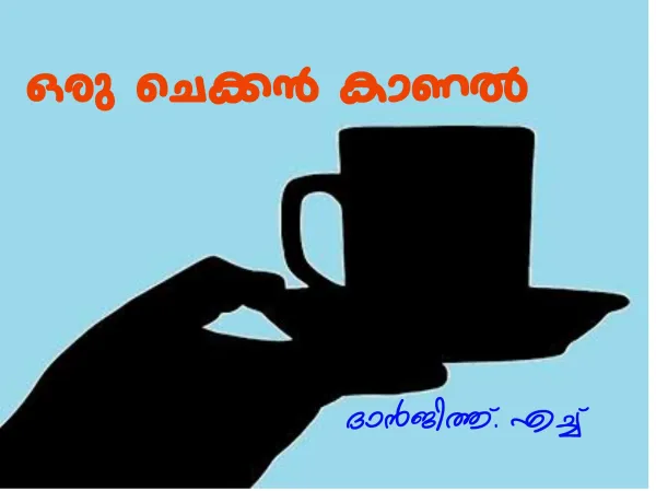 ഒരു ചെക്കൻ കാണൽ  XS SM