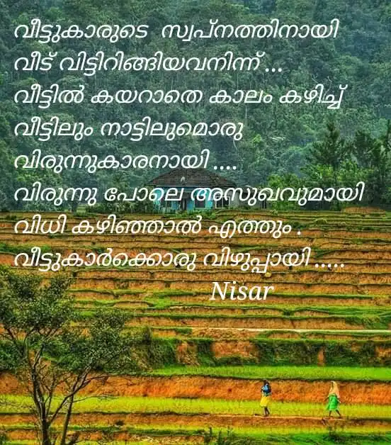 വീട്ടുകാരും വിരുന്നുകാരനും